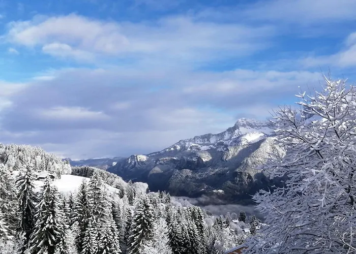 Rayon Des Aravis